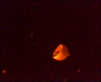 bild4