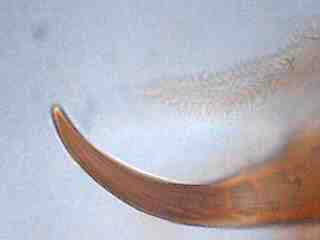 bild10