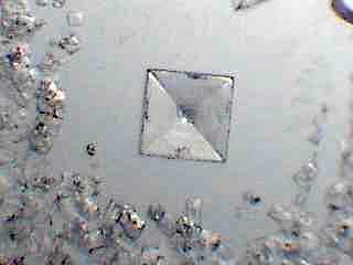 Bild5